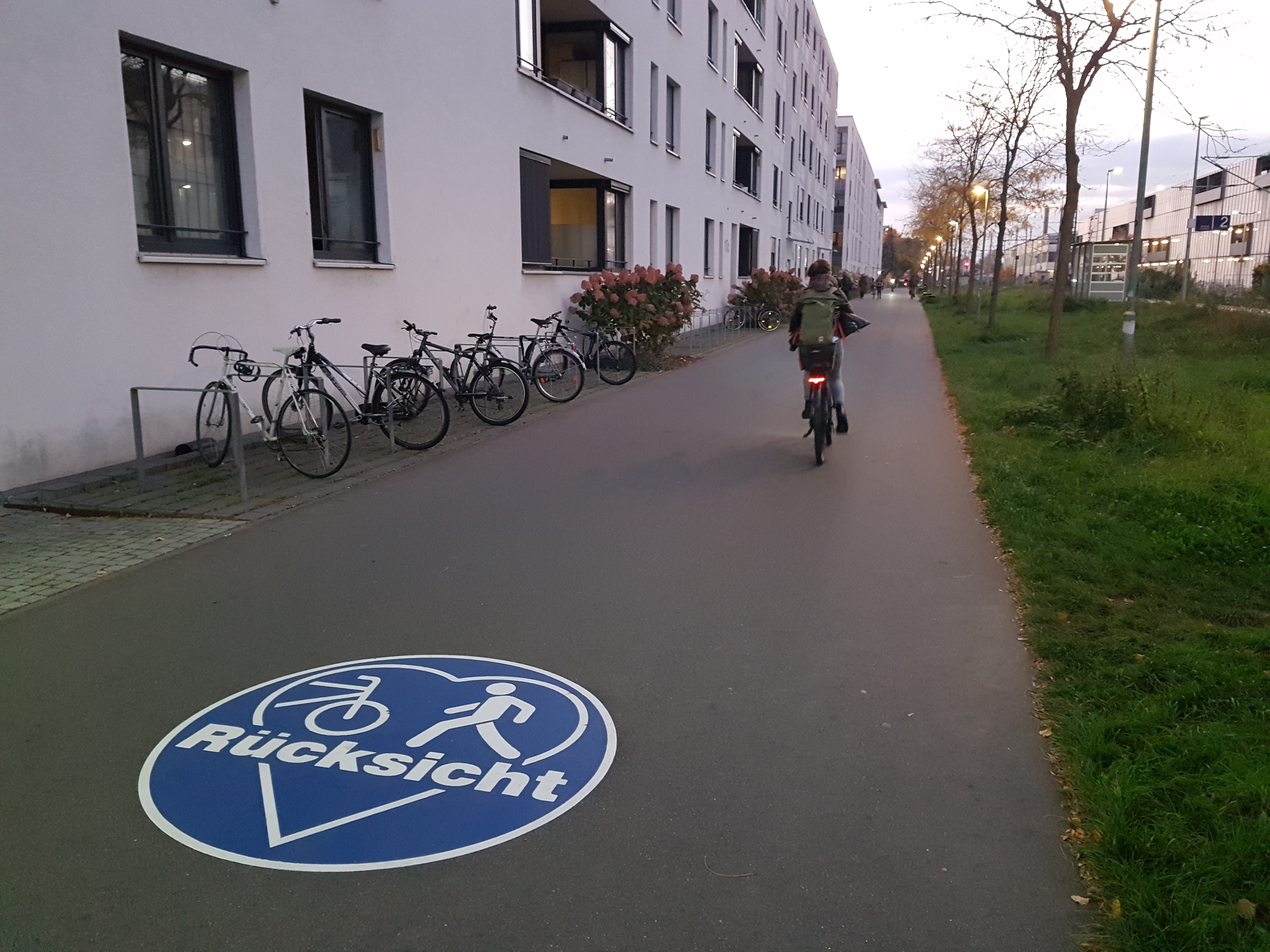 Auf einem geteilten Fuß- und Radweg zeigt eine blau-weiße Bodenmarkierung ein Herz, einen Fußgänger, ein Fahrrad und das Wort Rücksicht.