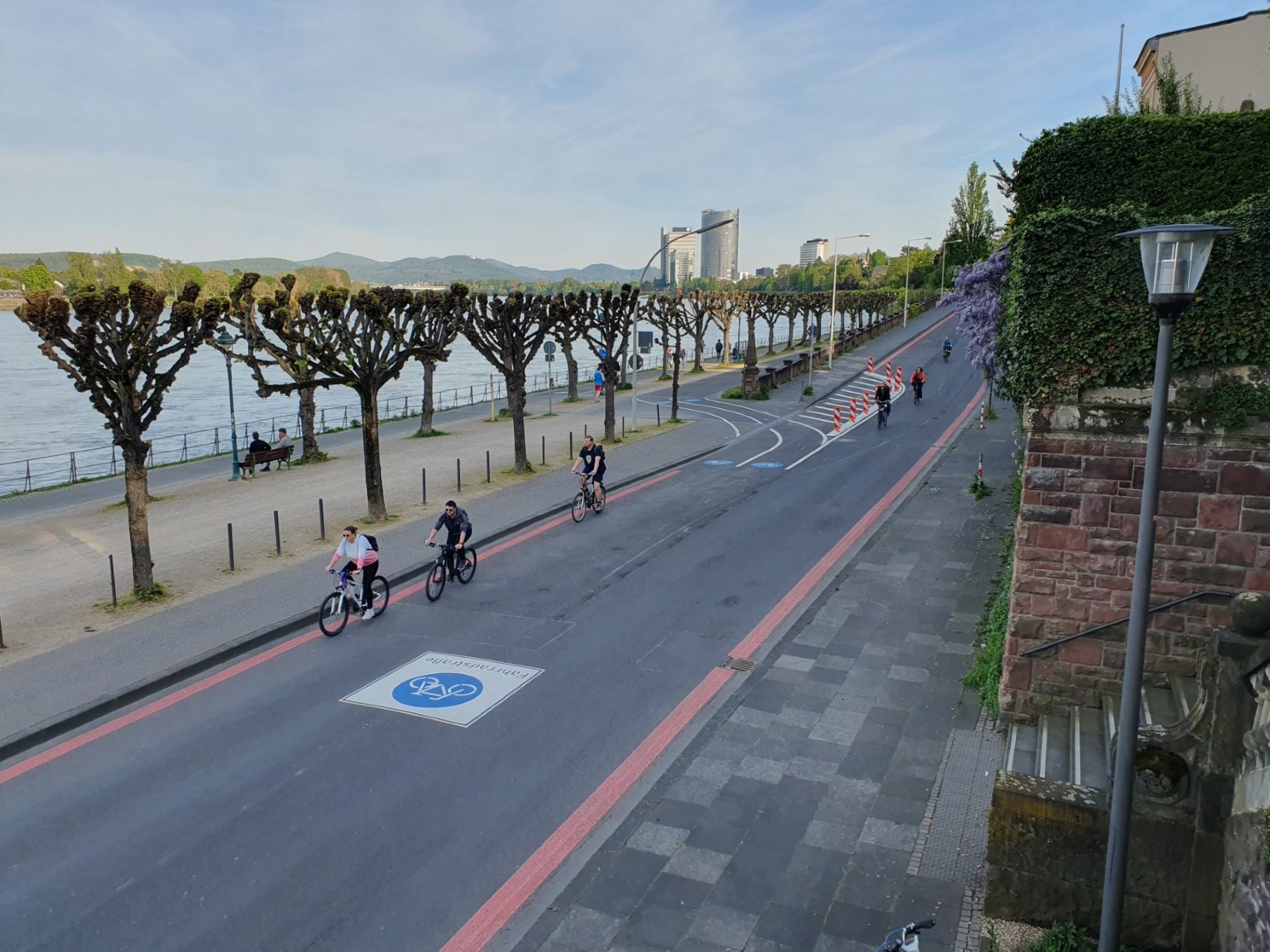 Fahrradstraße am Rheinufer in Bonn sind sechs Radfahrende Unterwegs. Im Hintergrund sind der Posttower, der Das UN-Hochhaus und das Siebengebirge zu sehen.